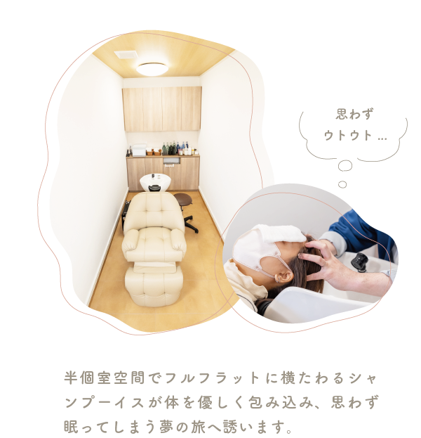 shampoo.png